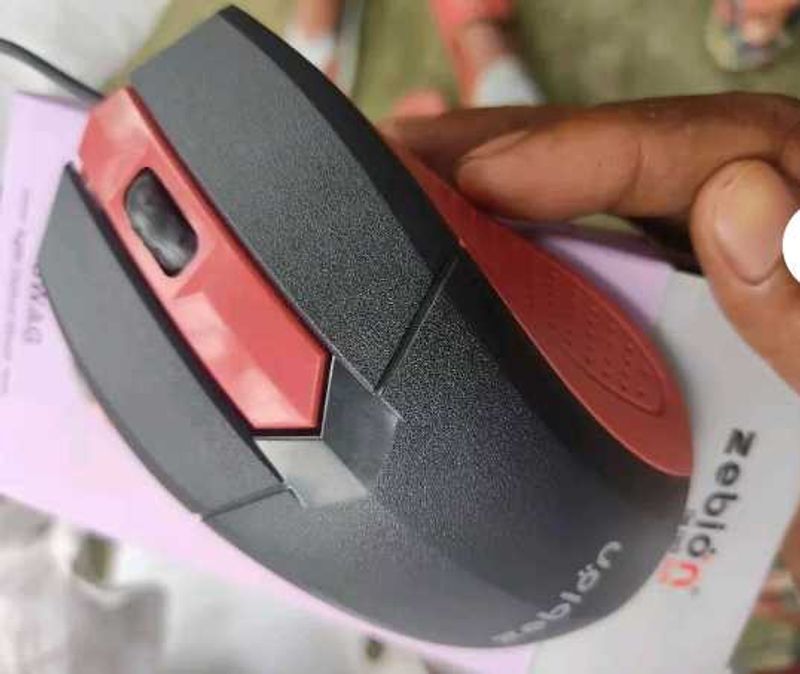 Mouse