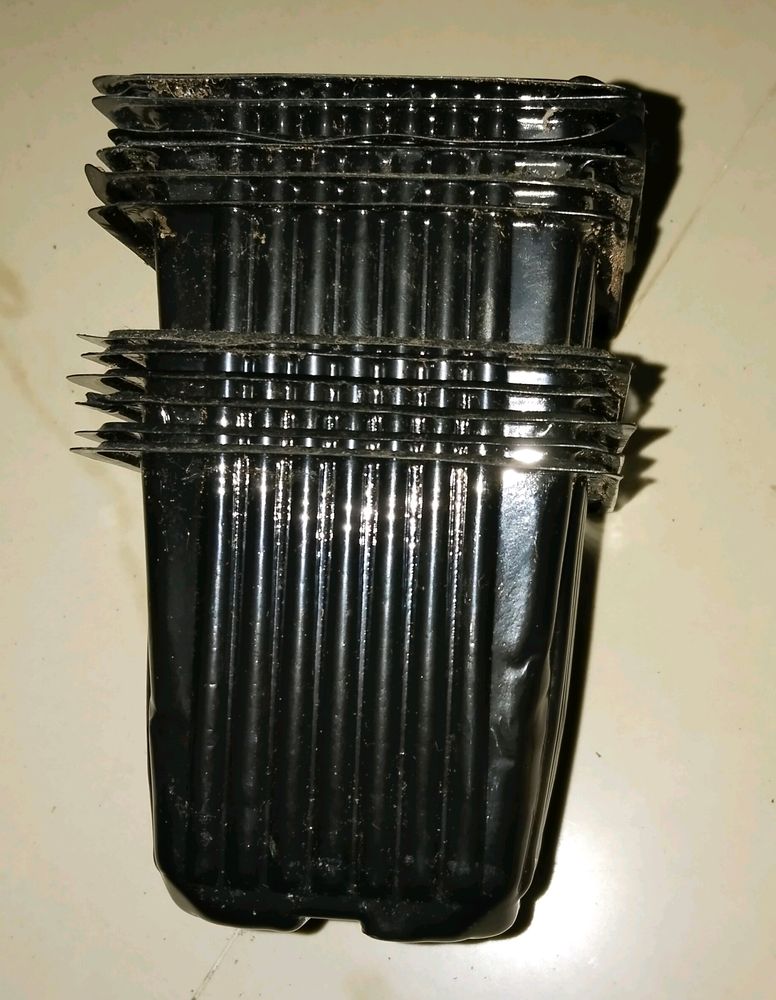 seed and Plant starter plastic pot