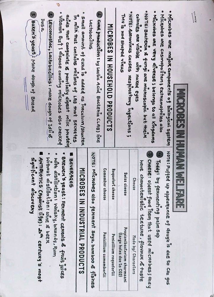 Microbes in Human Welfare Study Sheet