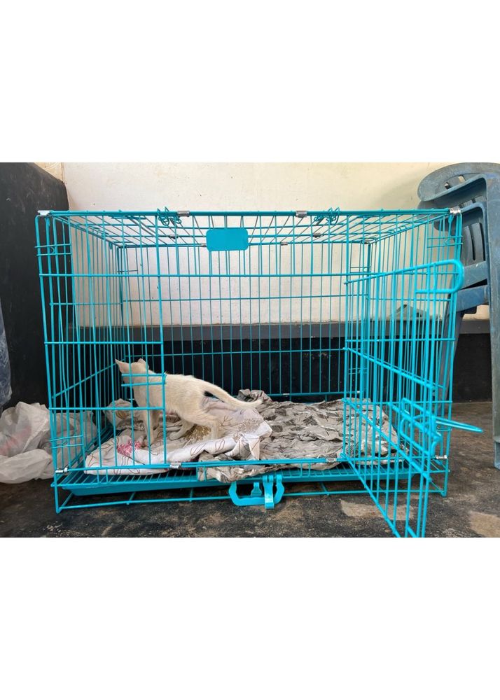 Animal Cage