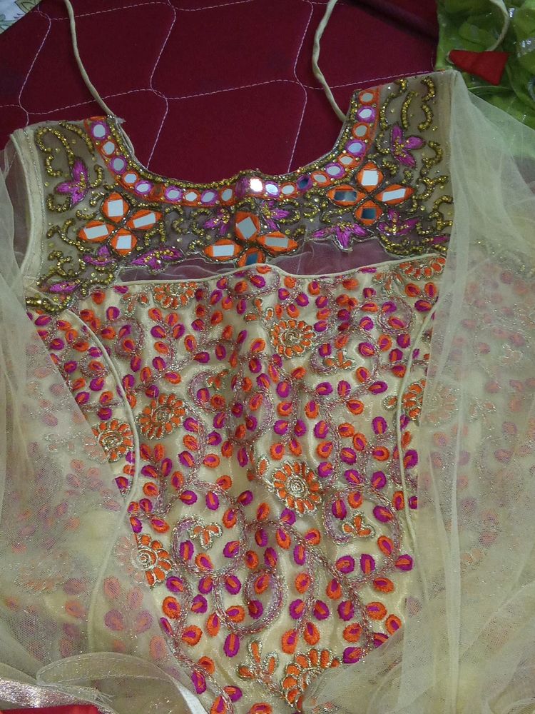 Embroidered Indian Dress