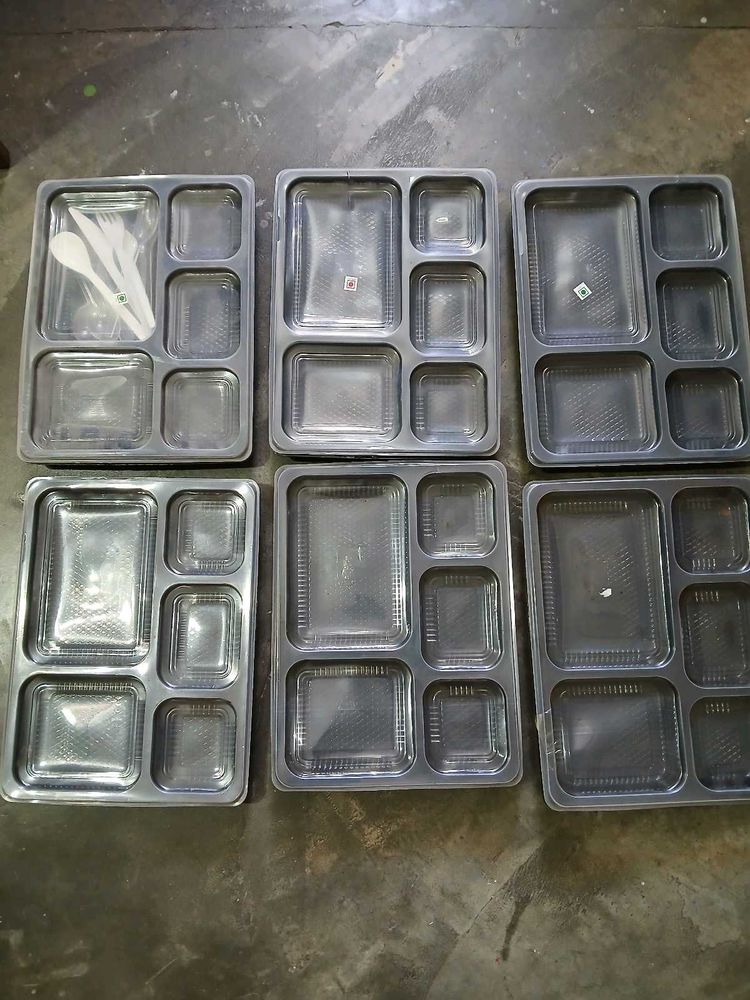 6 Disposable Packing Plates W spoons