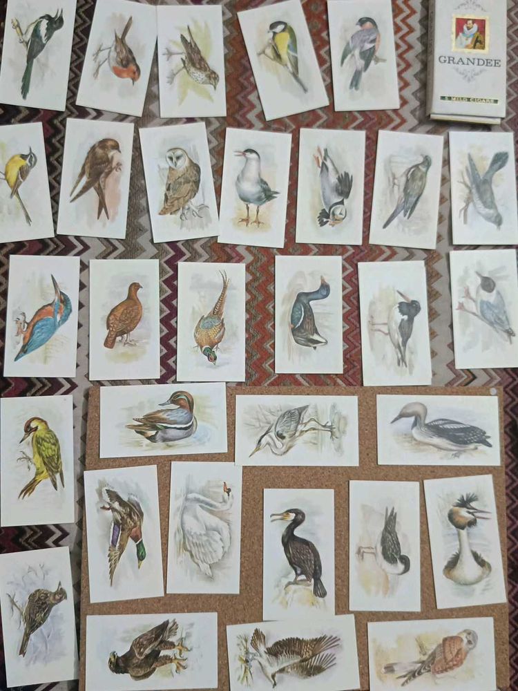 Vintage Grandee Bird  Cigarette Cards Collection