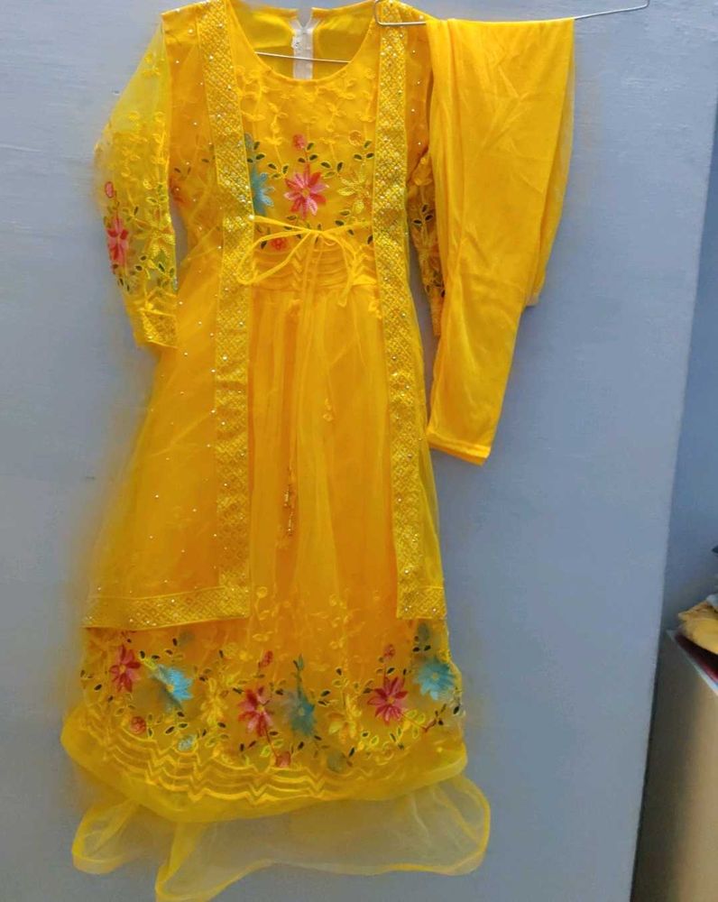 Yellow Embroidered Net Dress