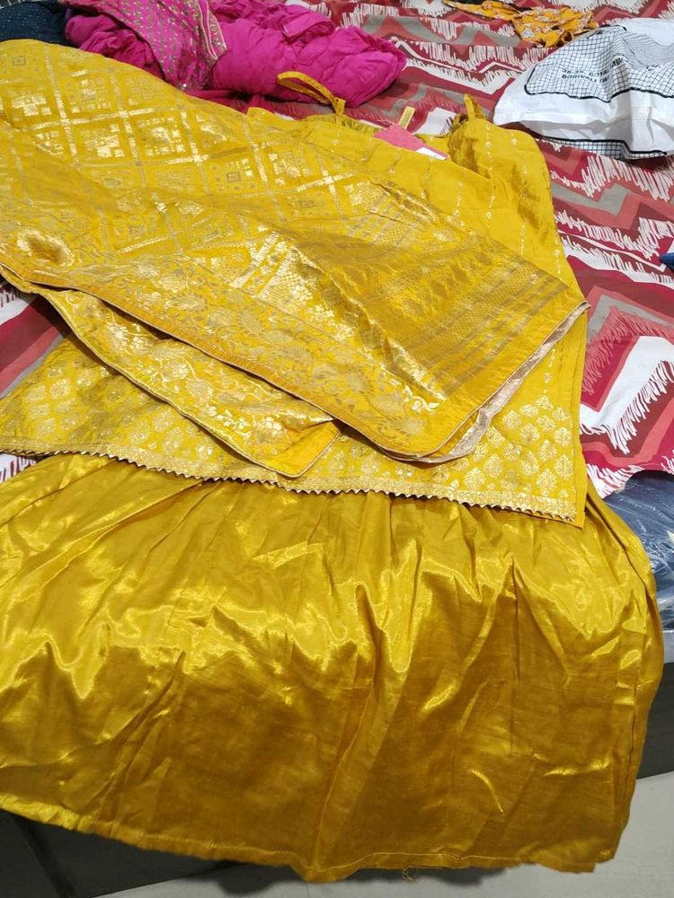 Elegant Lehenga Choli Set