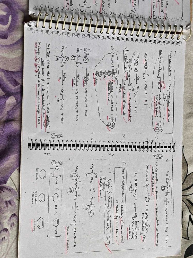 Organic Chemistry Notes Handwritten