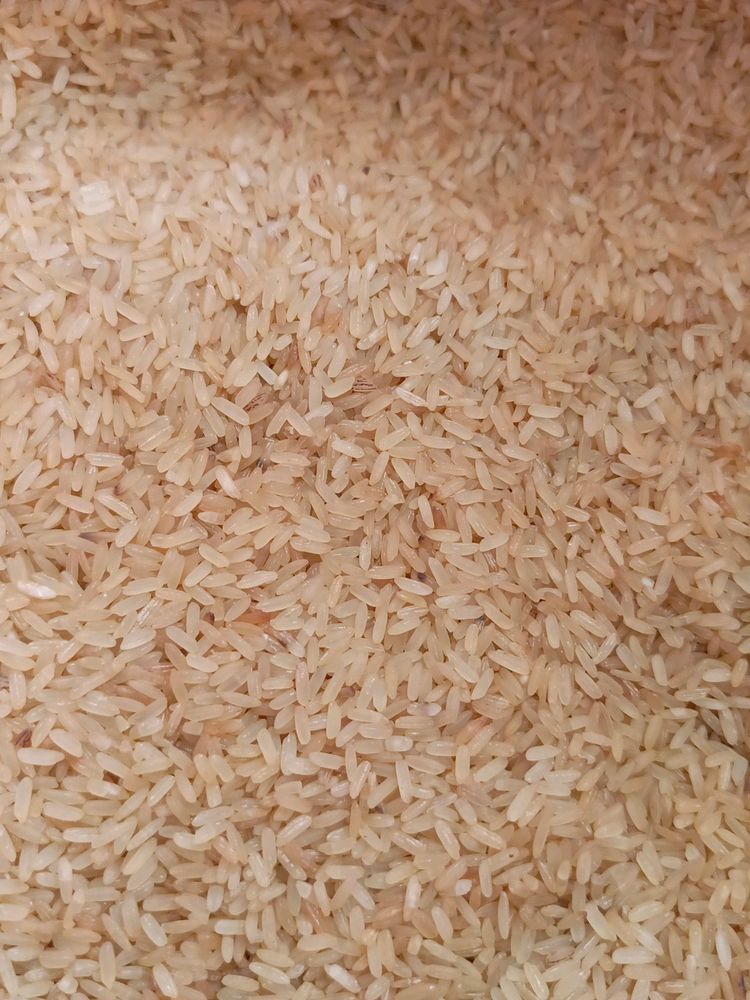 India Gate Rice (20kg)