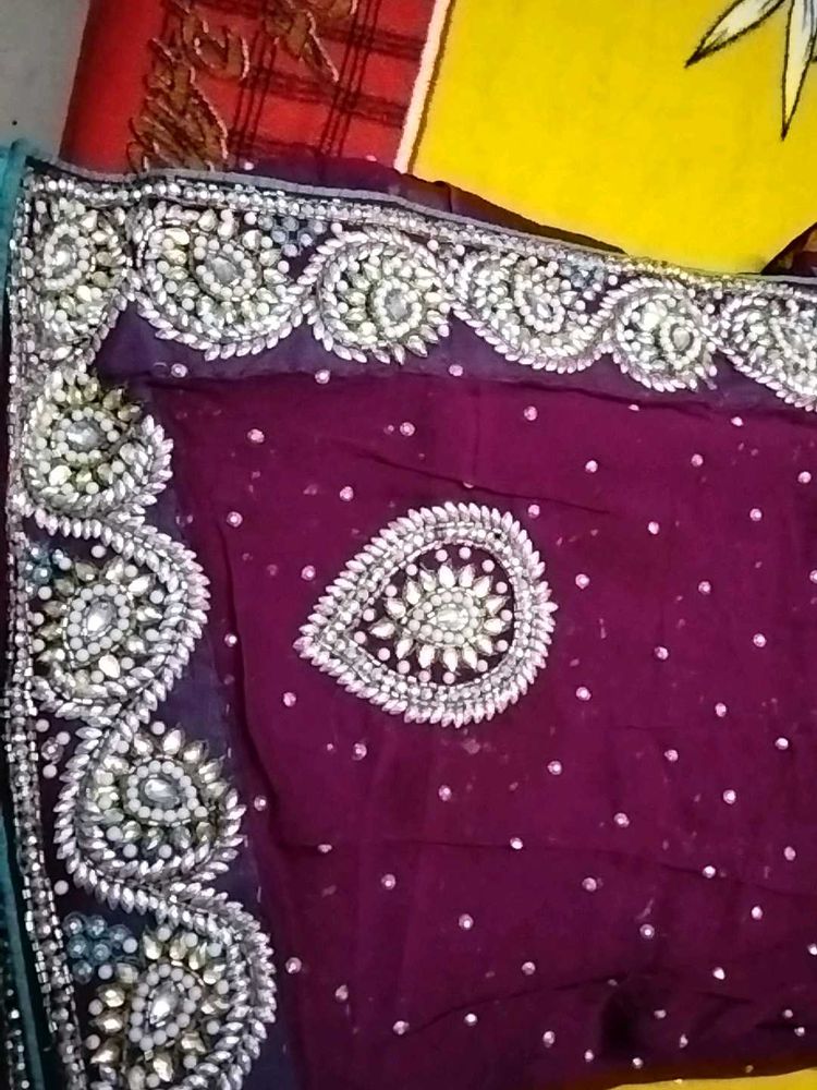 Elegant Embellished Saree