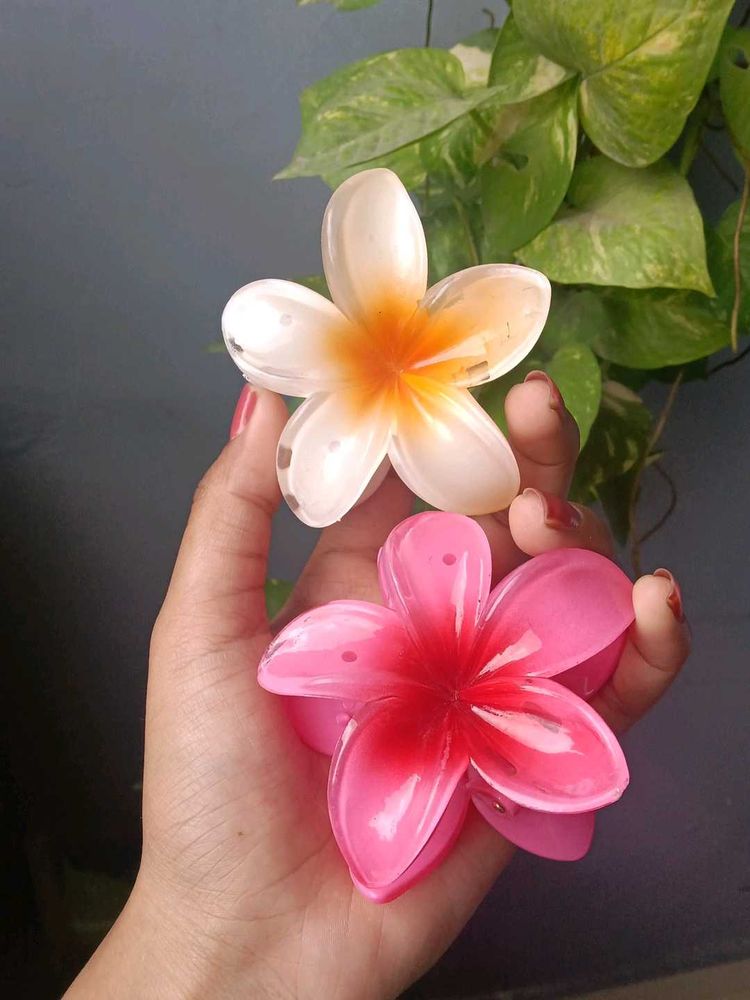 Cute Pinteresty Flower Hair Clips - Set of 2
