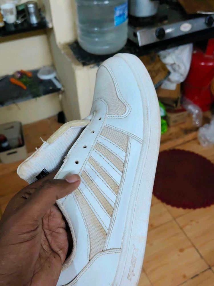 Sparx White Sneakers