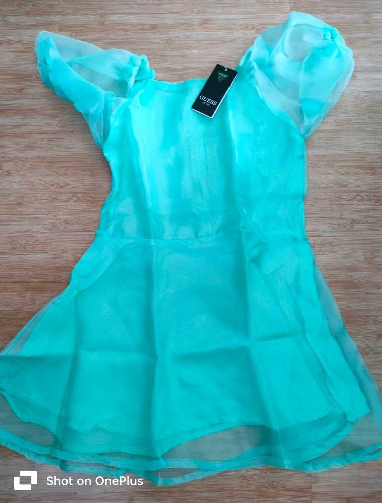 Women Organza Mini Dress