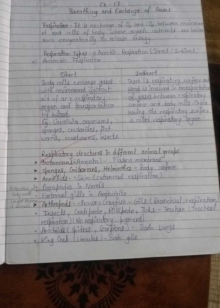 11,12th Biology Notes