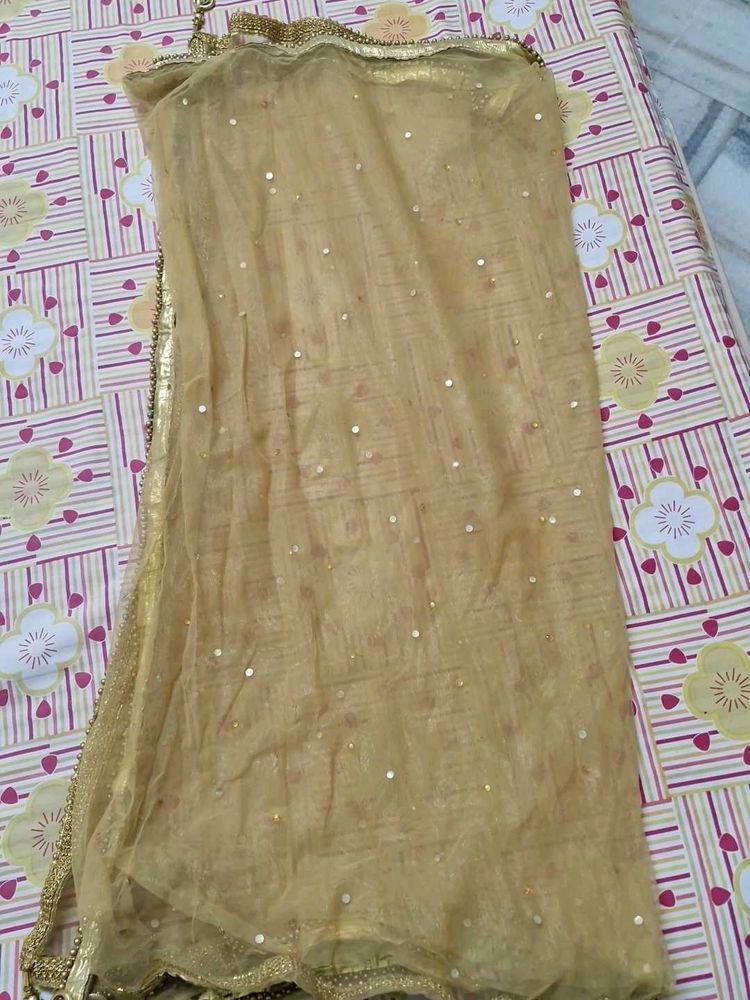 Gold Embellished Dupatta