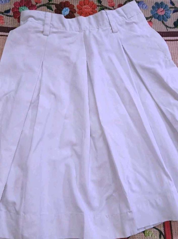 Pleated Skirt (School)
