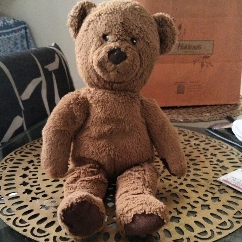 Cute Baby Bear