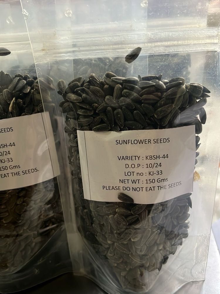 Hybrid Sunflower seeds for planting
