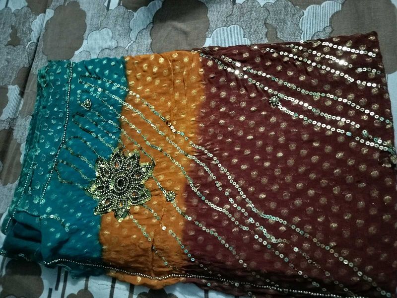 Beautiful Multi Colour Saree