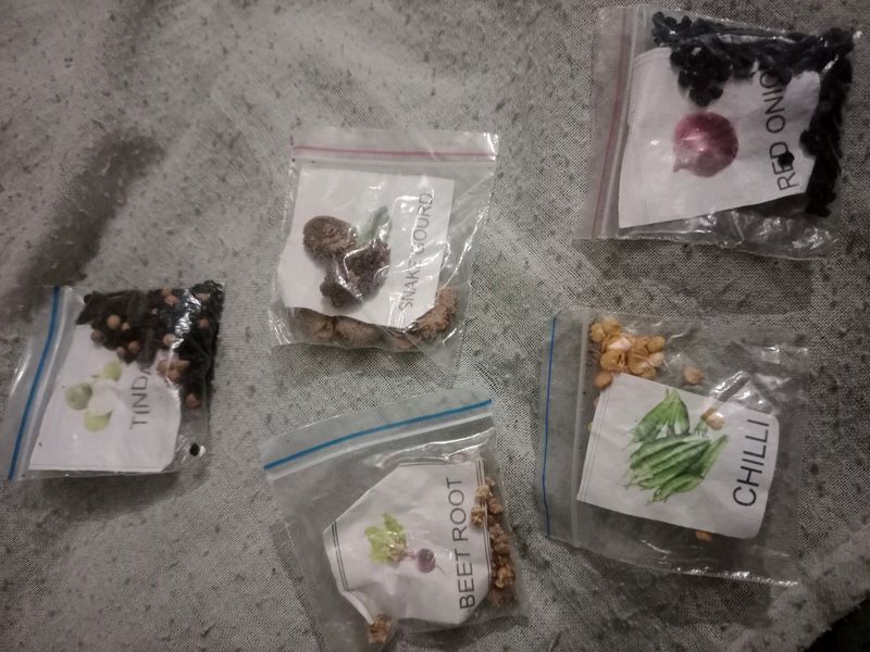 5 Vegetable Seeds