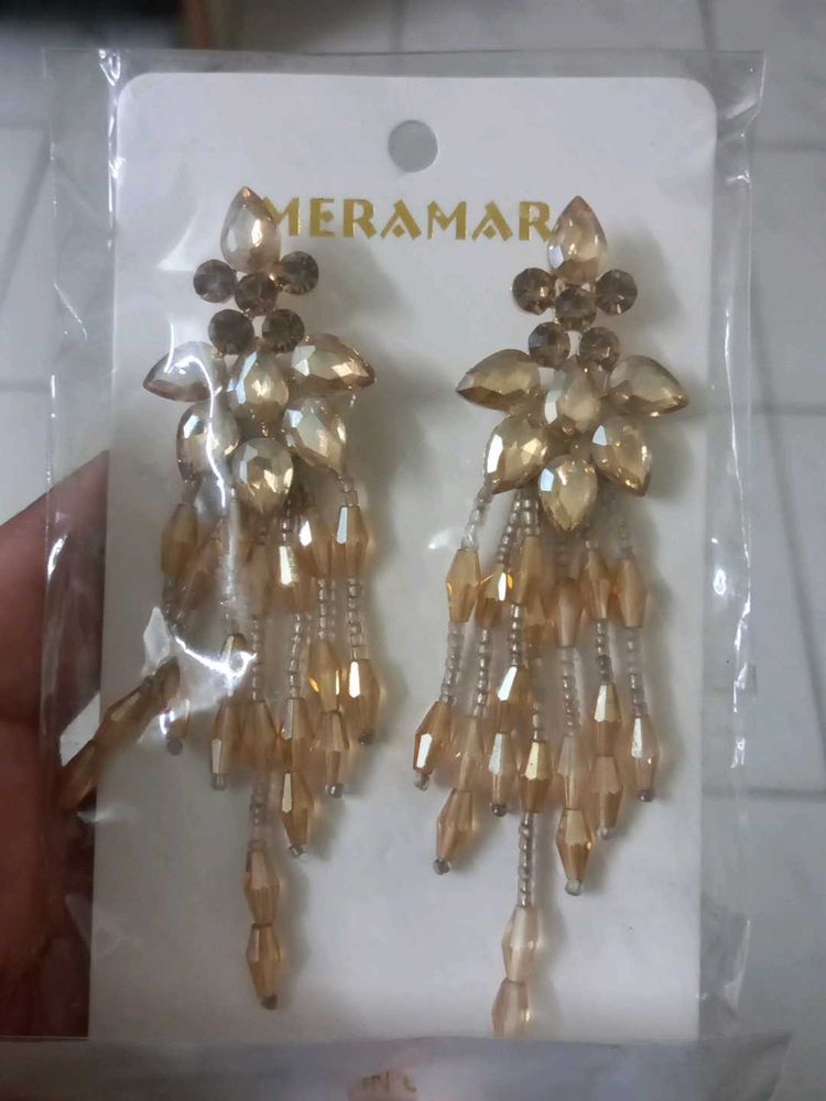 Elegant Hanging Earrings