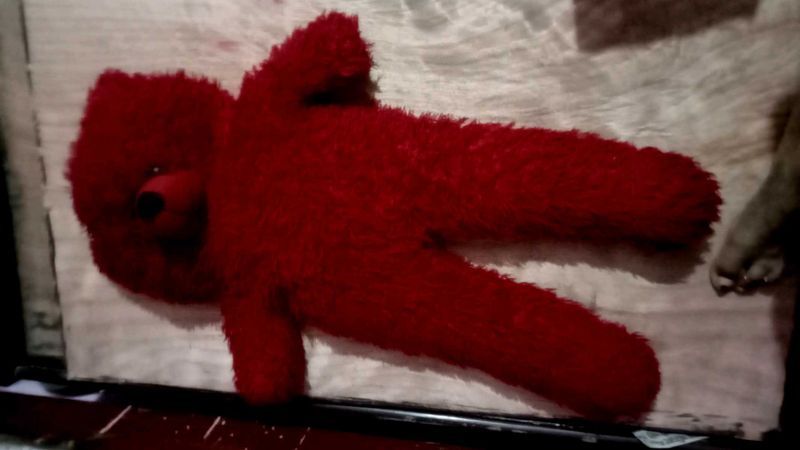 Teddy Bear 🧸