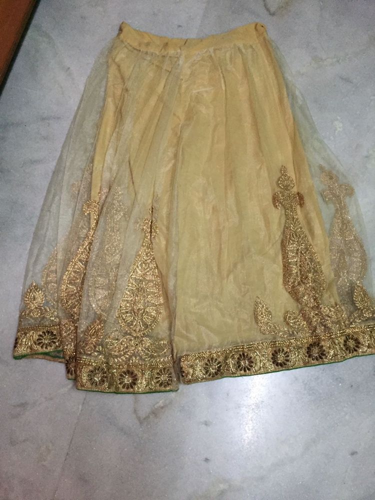 Lehenga Skirt With Jari Work On Net