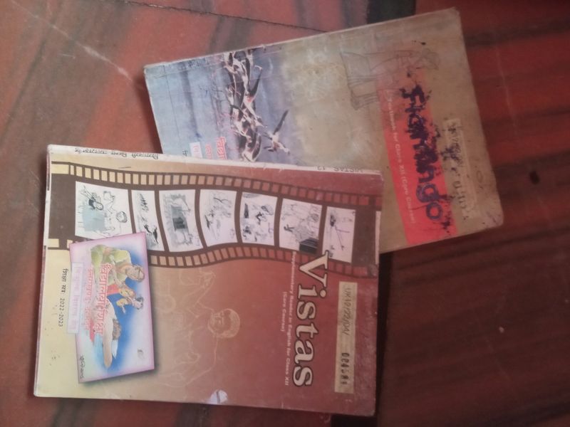 Class 12 English( Vistas And Flamingo) Book