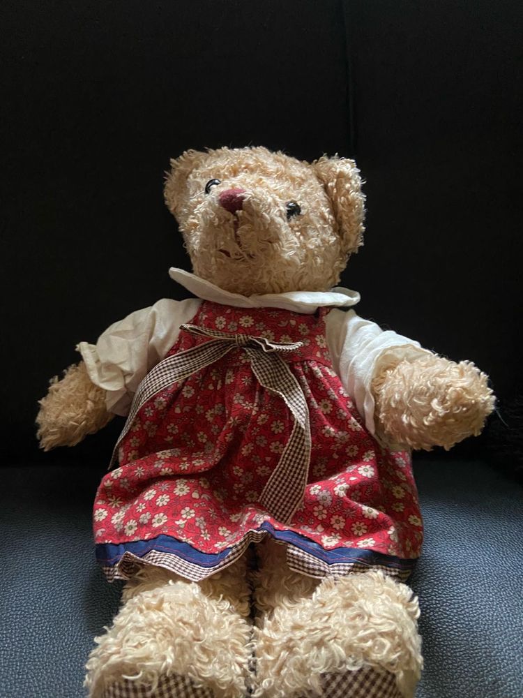 Mini lil teddy with dress