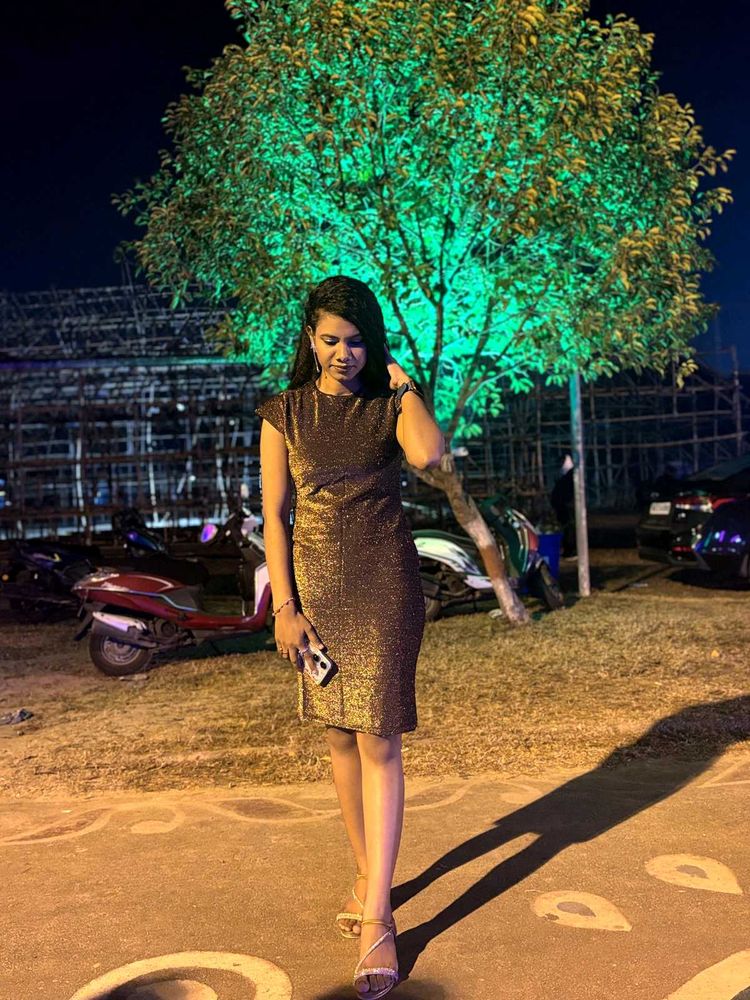 Sparkly Bodycon Mini Dress