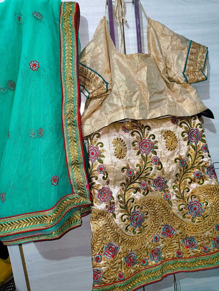 Gorgeous Lehenga Choli Set With Two Blouse