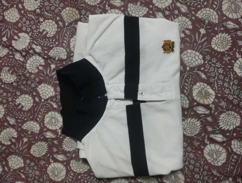 Striped White Shirt
