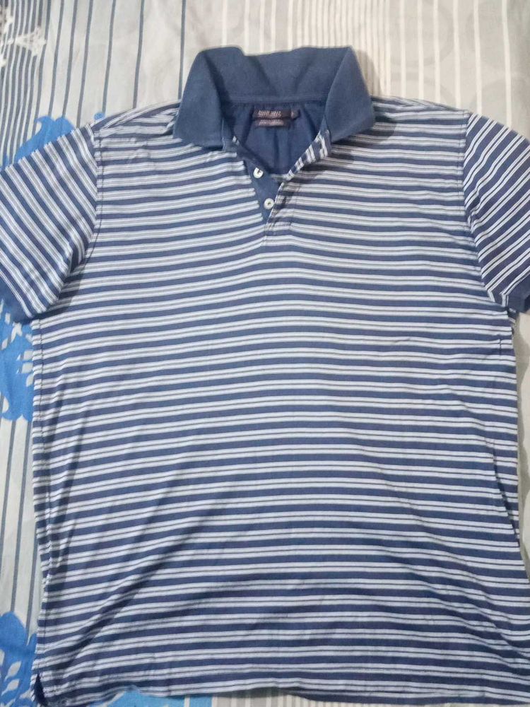 Allen Solly  Blue  And White  Stripe Polo T Shirt