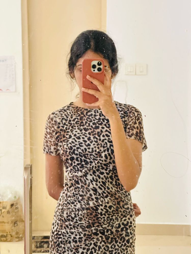 Leopard Mesh Maxi Dress