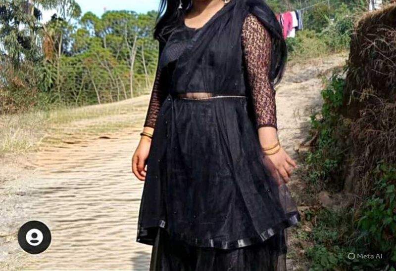 Elegant Black Net Overlay Dress