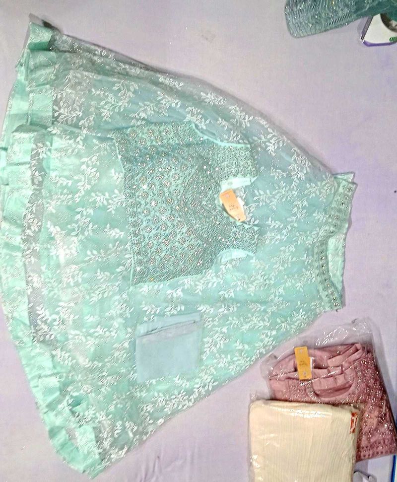 Elegant Lehenga Choli
