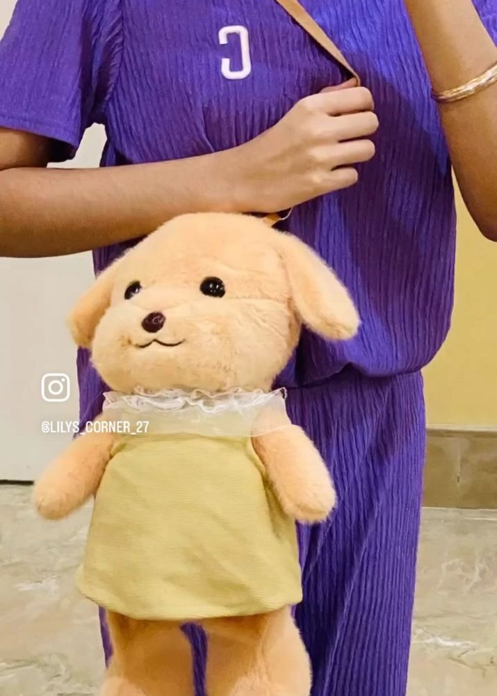 Teddy Bag