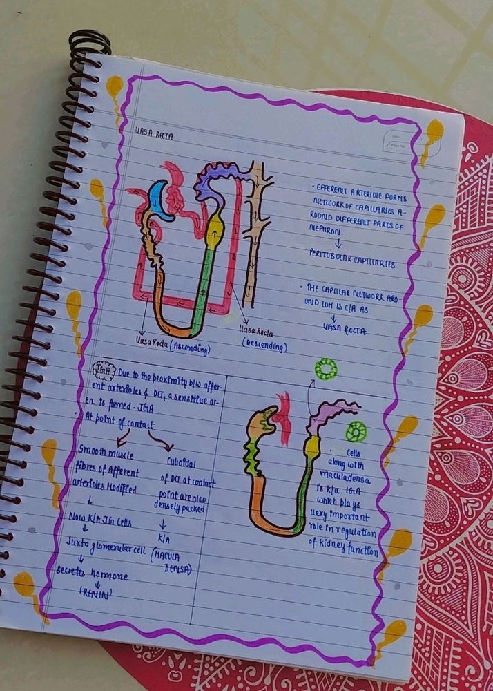 NOTES OF YAKEEN BATCH ZOOLOGY