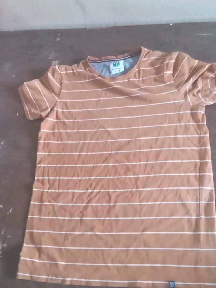 Striped Brown T-Shirt