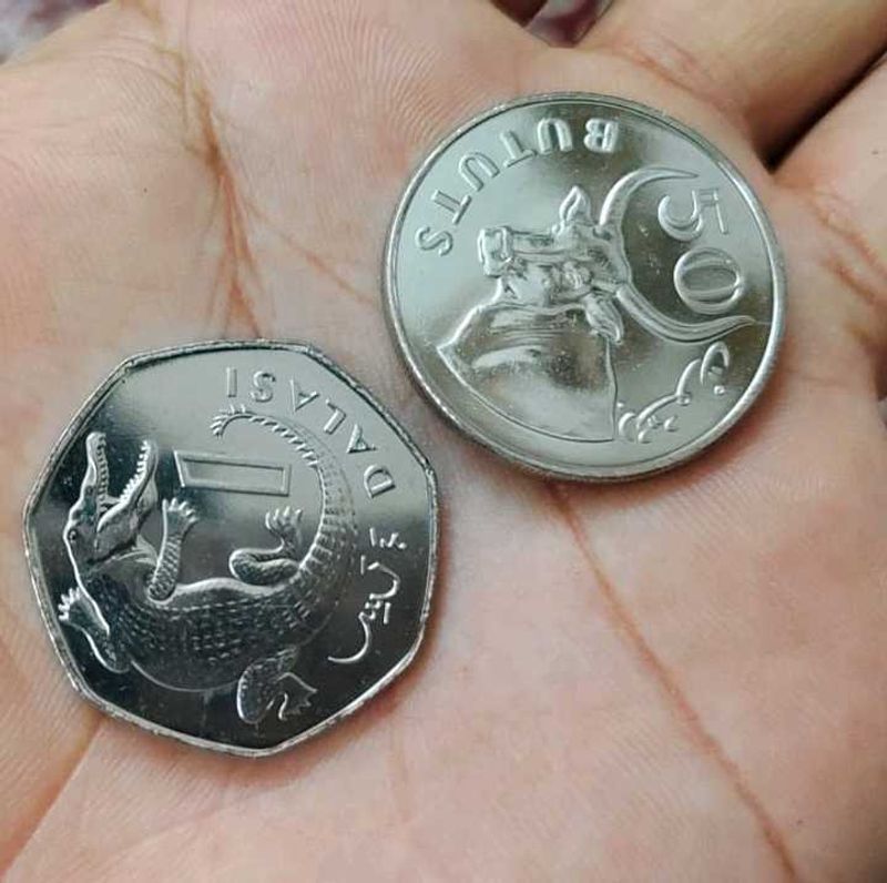 Gambia 2 Different Animal Theme Coins