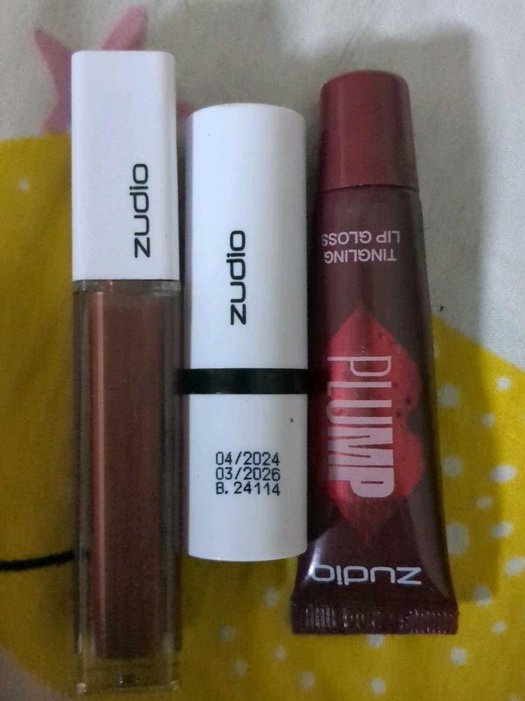 Zudio Lipsticks