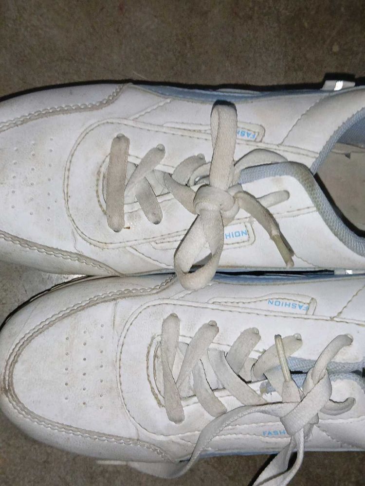 Daily Wear Shoes