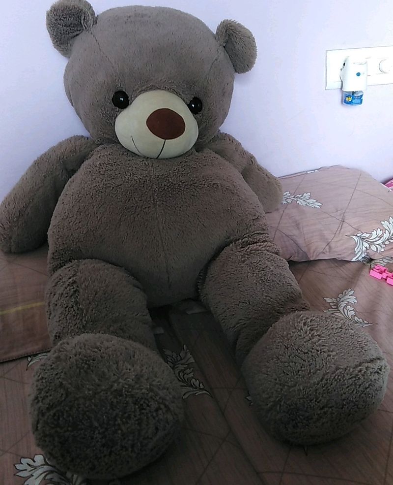 Big Broun Teddy