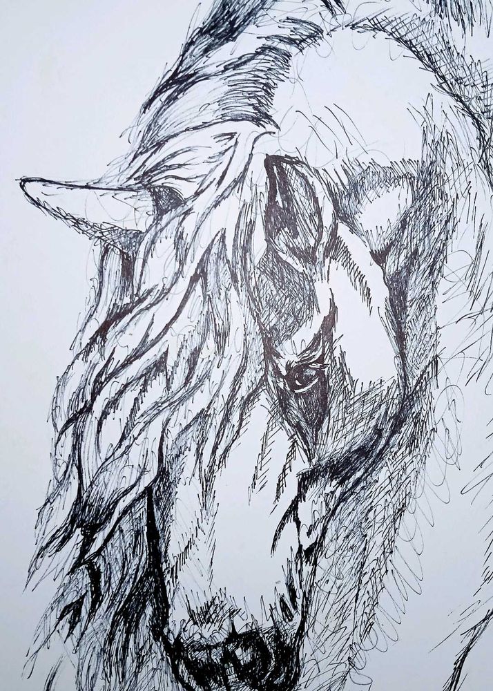 Silent Grace – A Handmade Horse Sketch