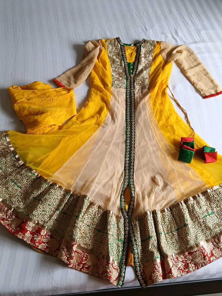 Ethnic Gowns