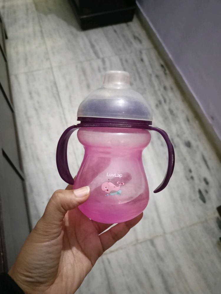 Luv Lap Baby Sipper