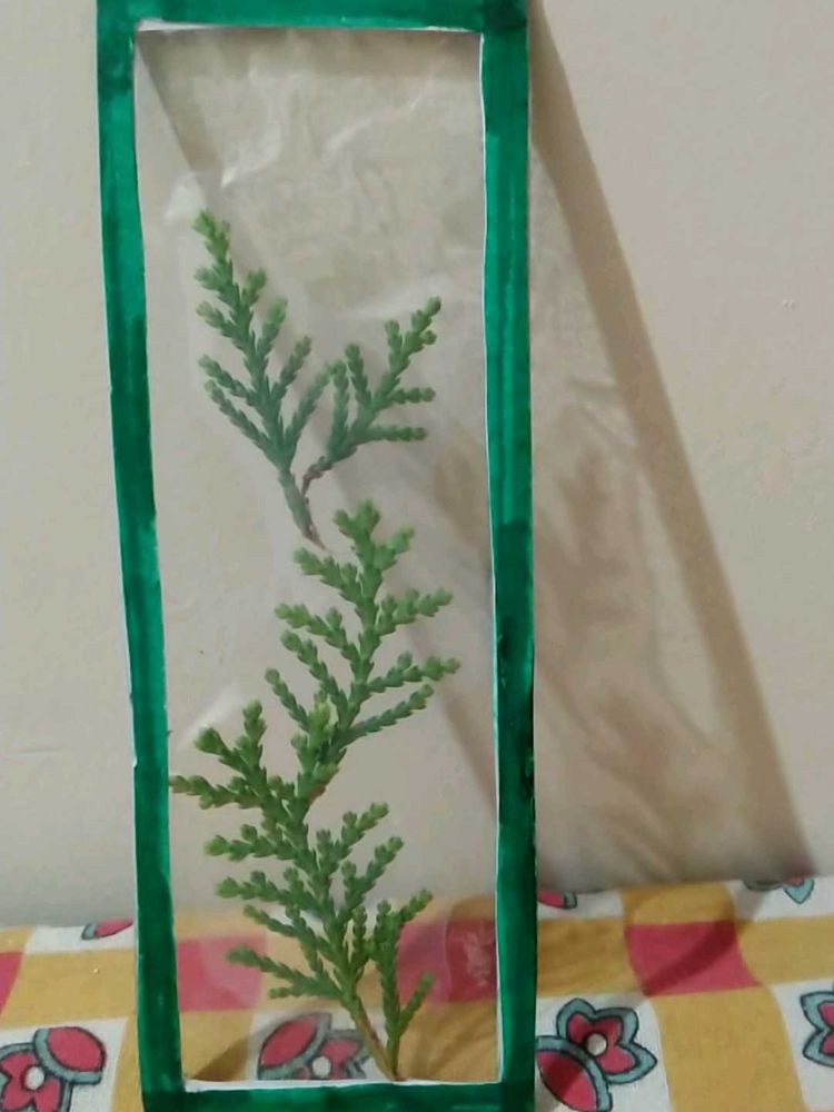 Bookmark