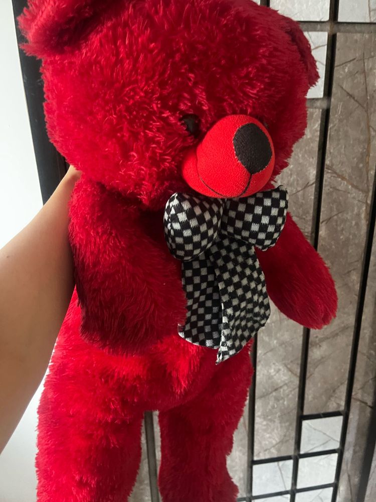 Large Teddy