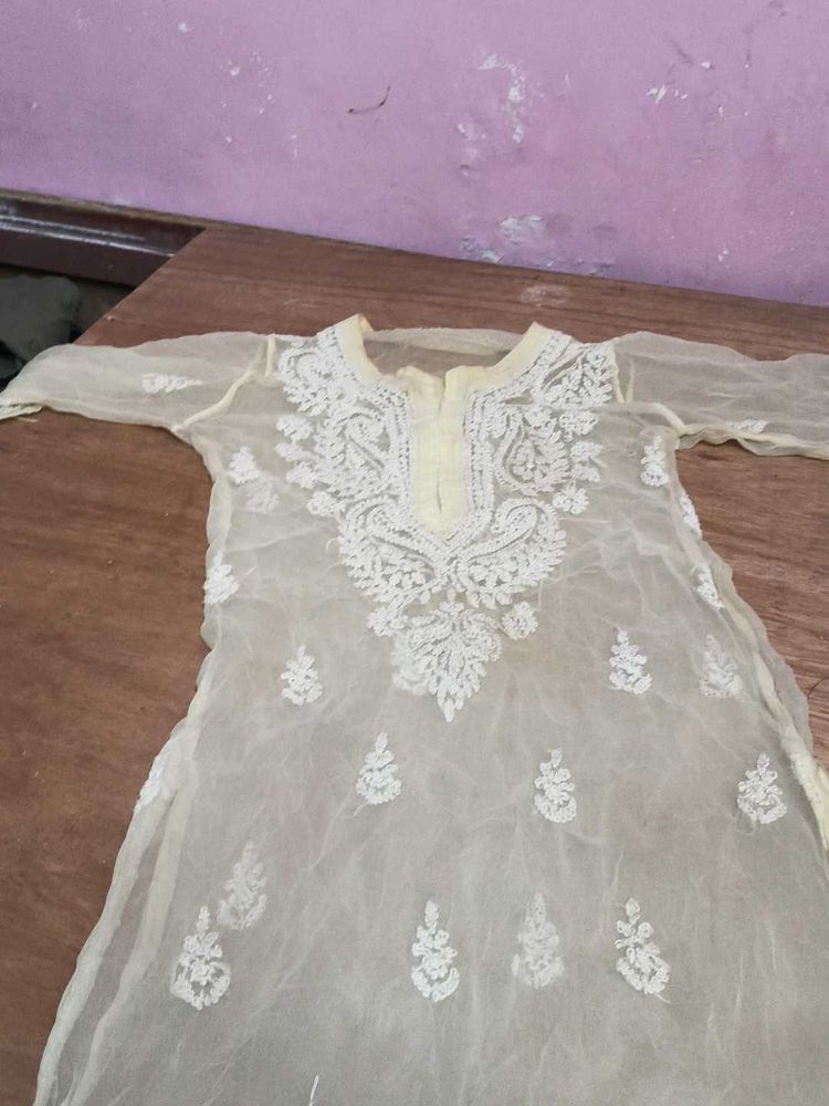 Elegant Lucknowi Chikan Kurta