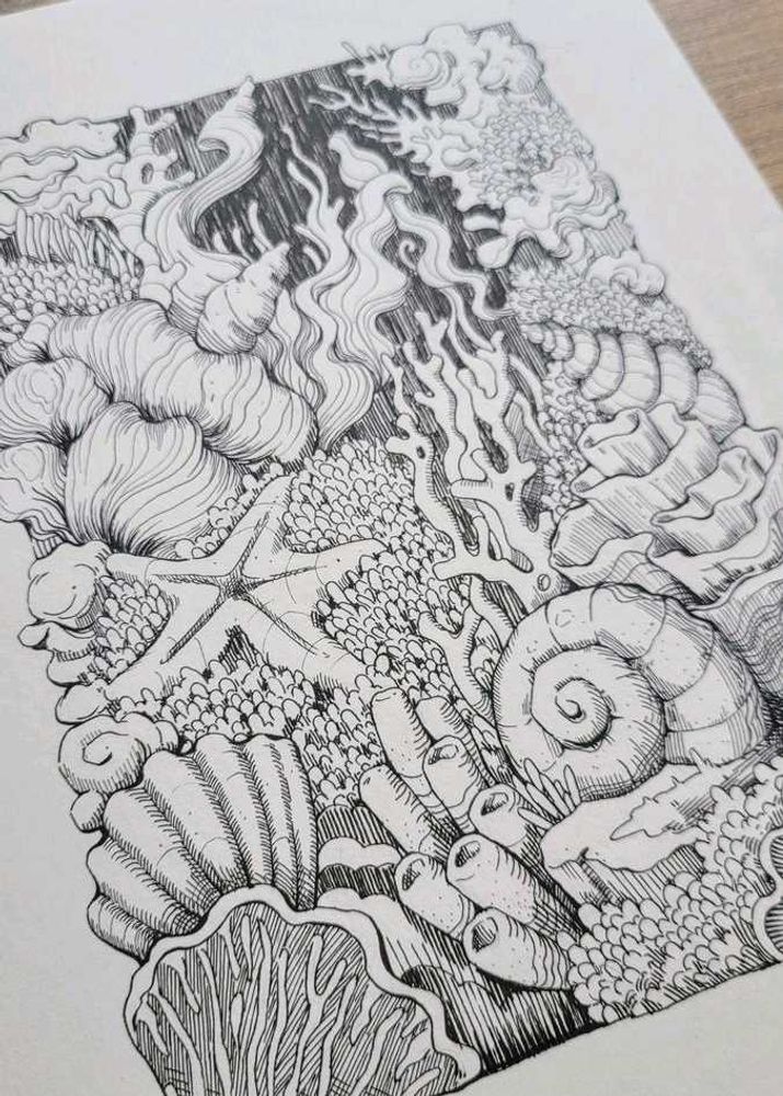 Sea Life Ink Drawing