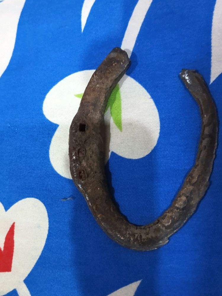 Horseshoe