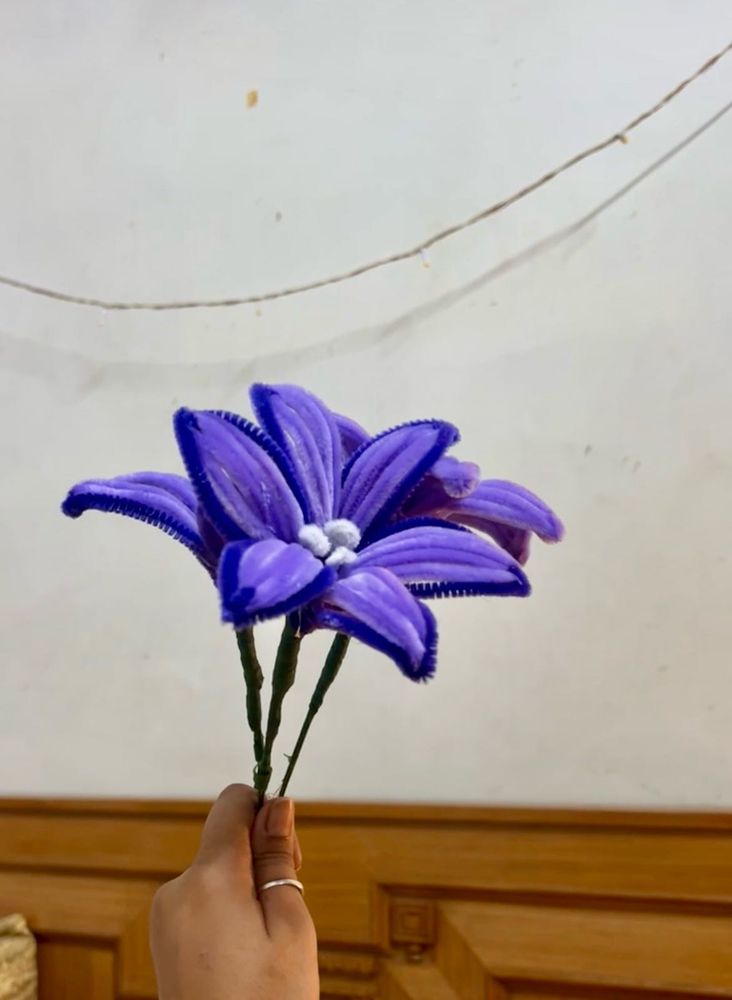 Lavender Lilies 💜